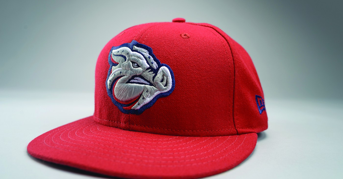 Lehigh Valley Iron Pigs