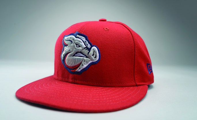 Lehigh Valley Iron Pigs