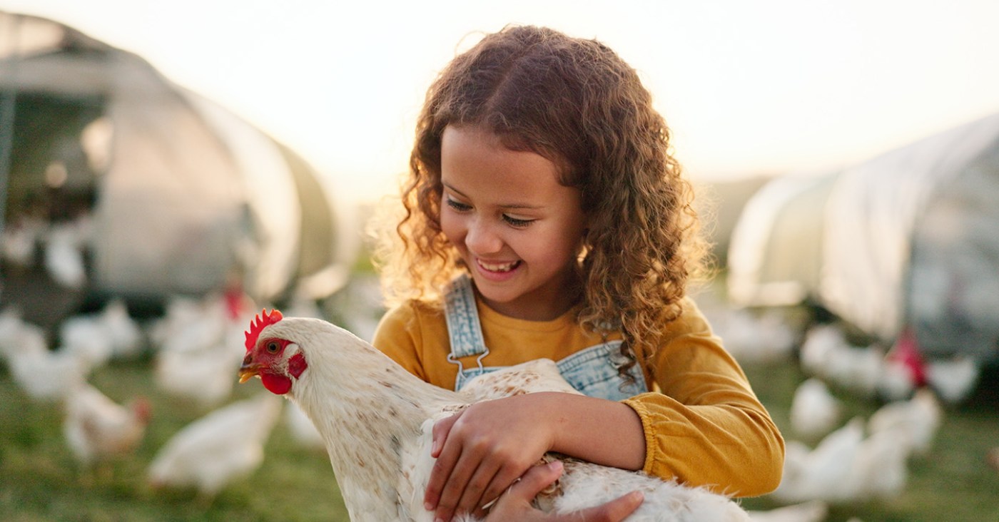 New Country Organics
