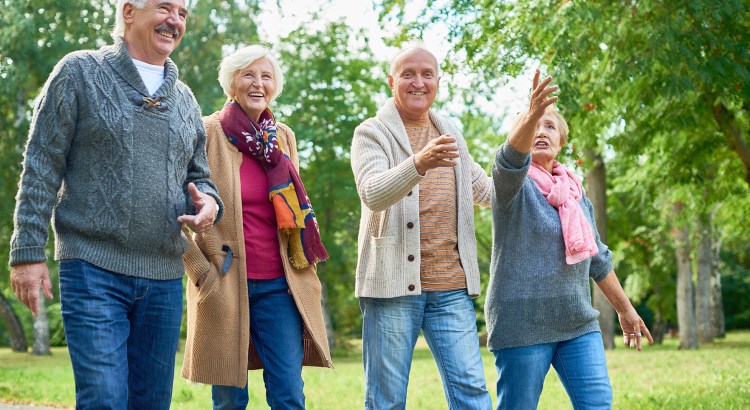Older couple walking in park