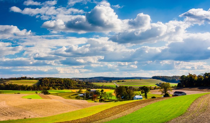 Clover Farms
