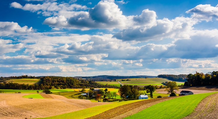 Farmland