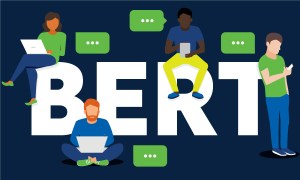 2019 Google BERT Update